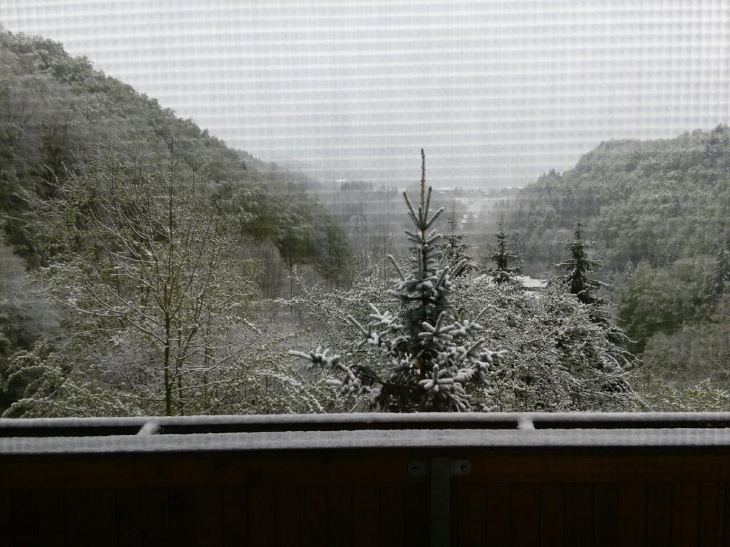 Fewo Radi An Der Buchberger Leite Daire Hohenau Dış mekan fotoğraf